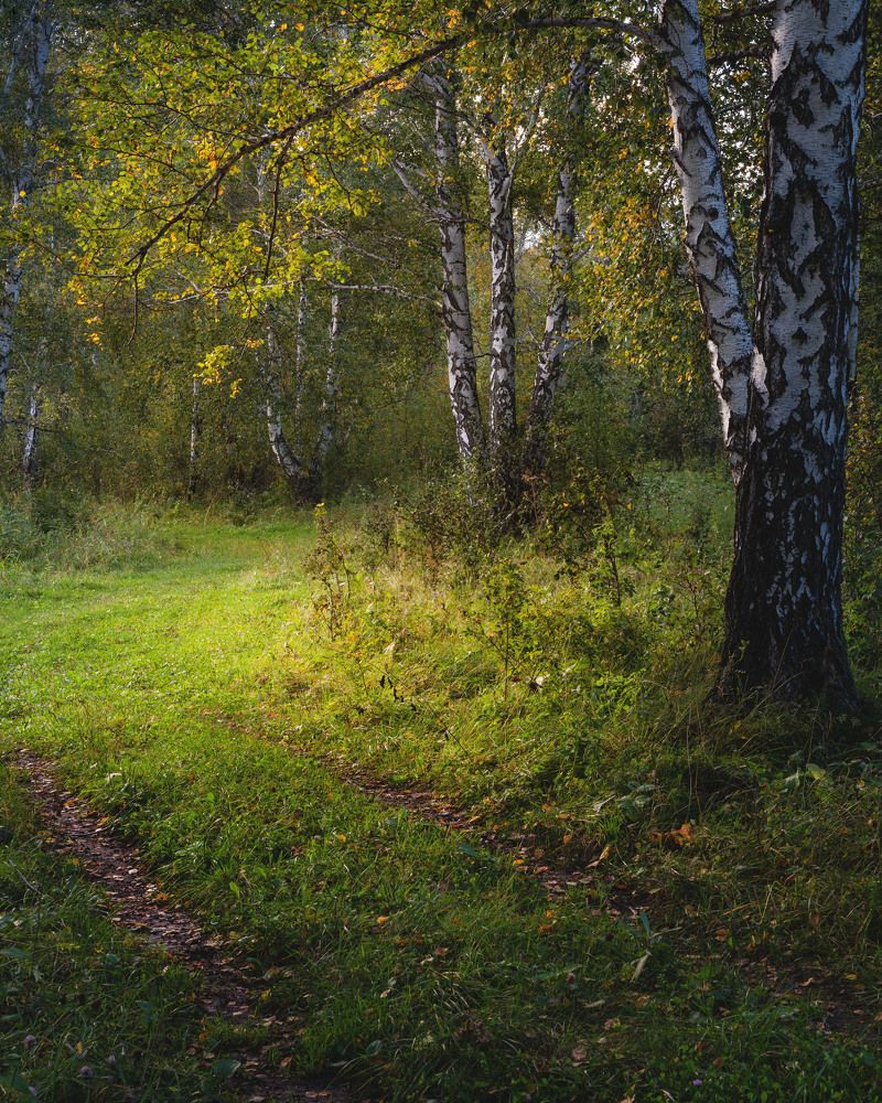 Photograph by Павел Гавриков