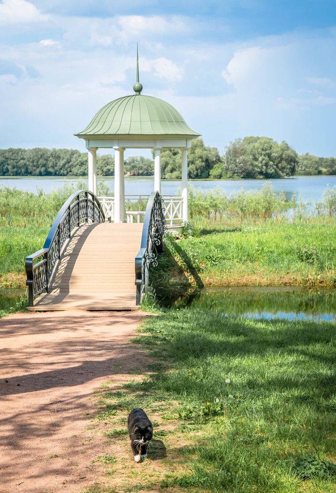 Photograph by Ольга Сафронова