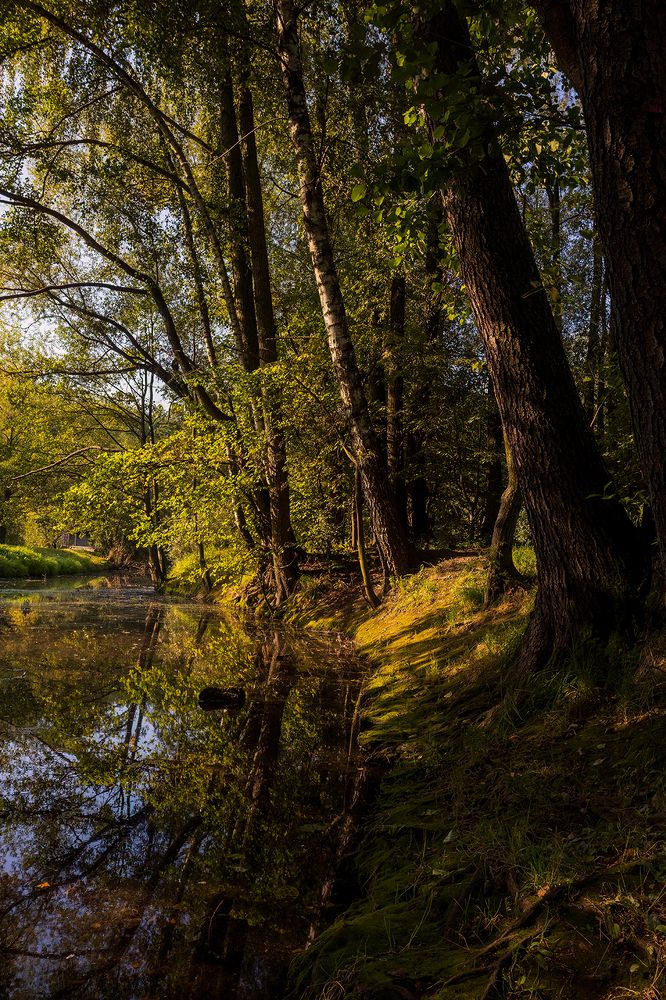 Photograph by Michel