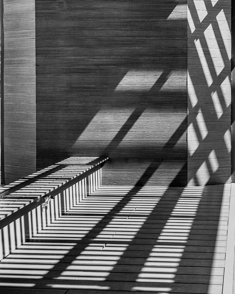 Photograph by Юлия Козина