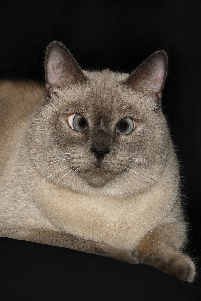 Photograph by Елена Лапочкина