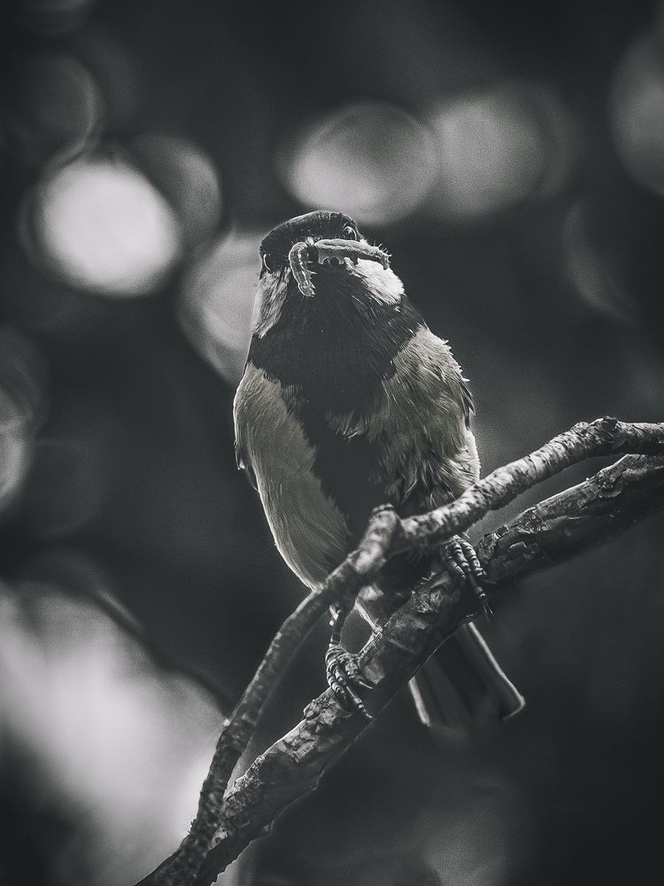 Photograph by Алексей Крылов