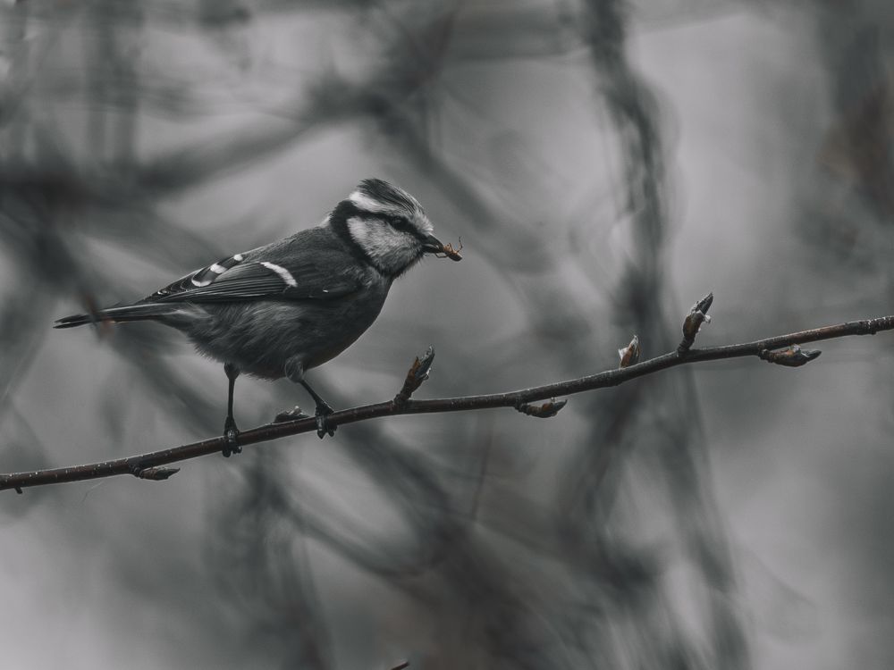 Photograph by Алексей Крылов