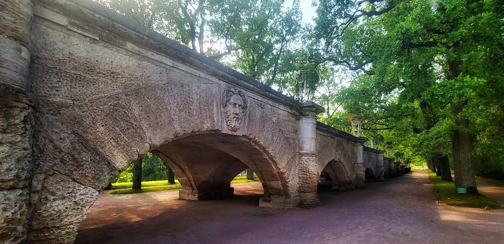 Фотография автора Алёна Михайлова