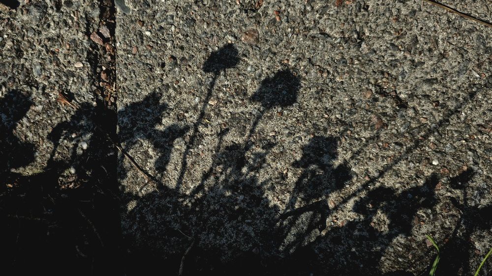 Photograph by Анна Семенова