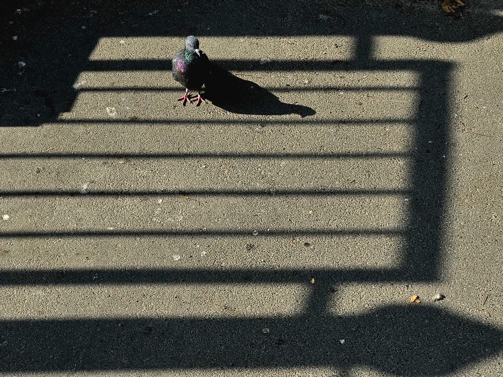 Photograph by Анна Семенова