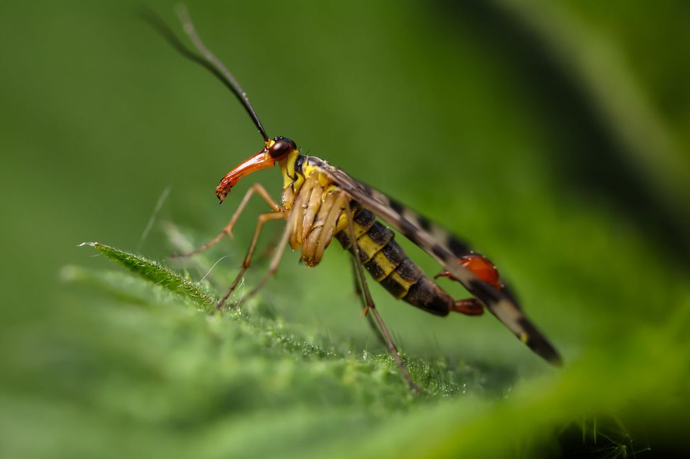 Photograph by Сергей Назаредский