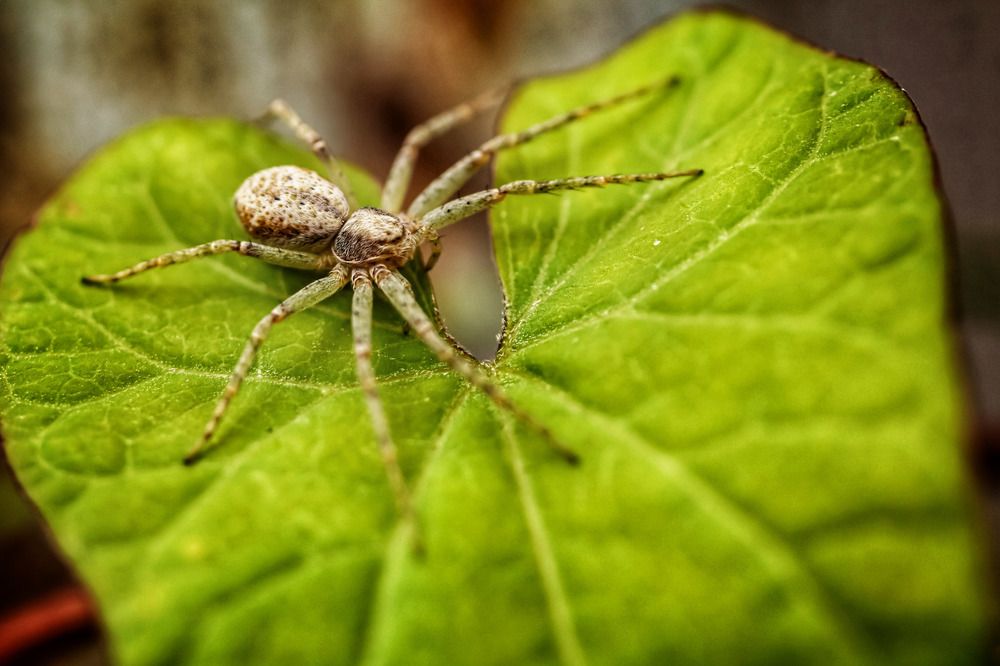 Photograph by Сергей Назаредский