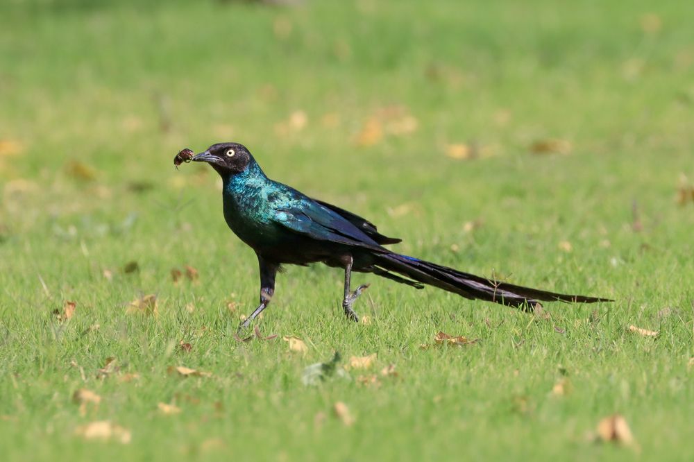 Photograph by Nijas Mohamed