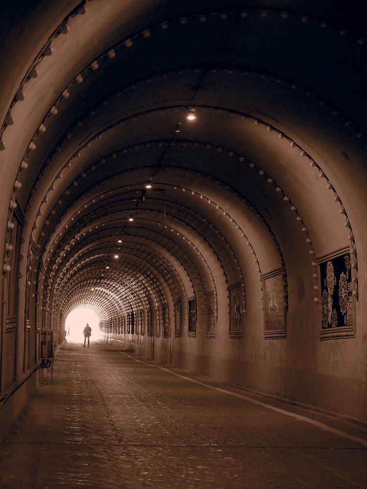 Photograph by Farid Ataei