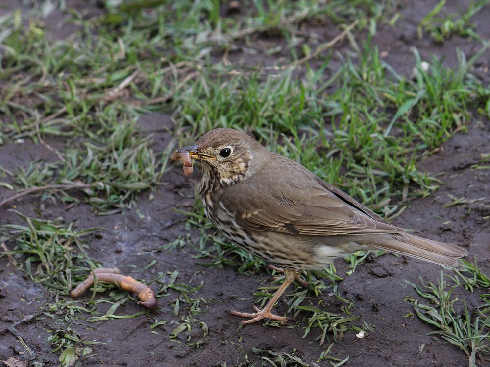 Фотография автора Борис Журавлёв
