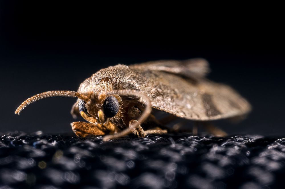 Фотография автора Андрей Левин