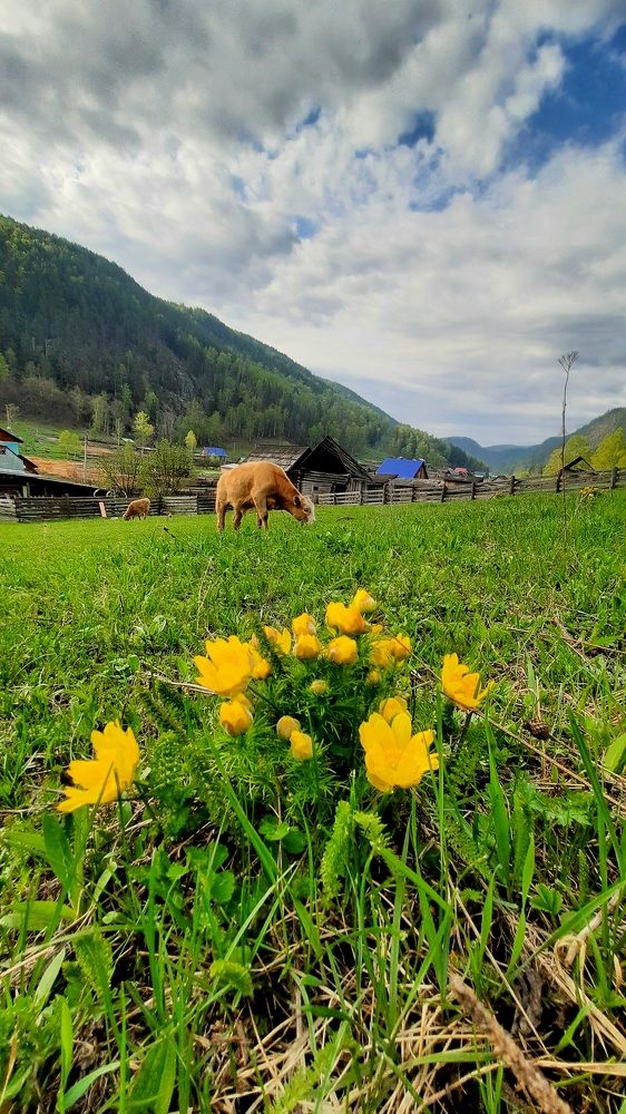 Маленькая Швейцария