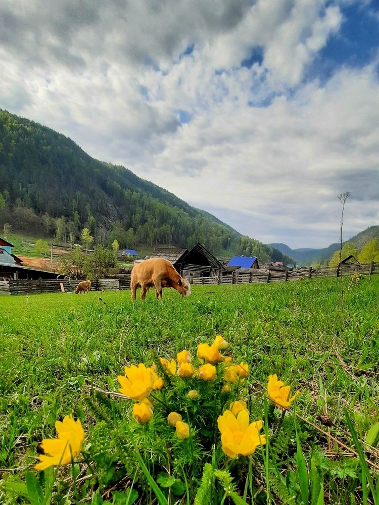 Photograph by Айгиза Мухамедьянова
