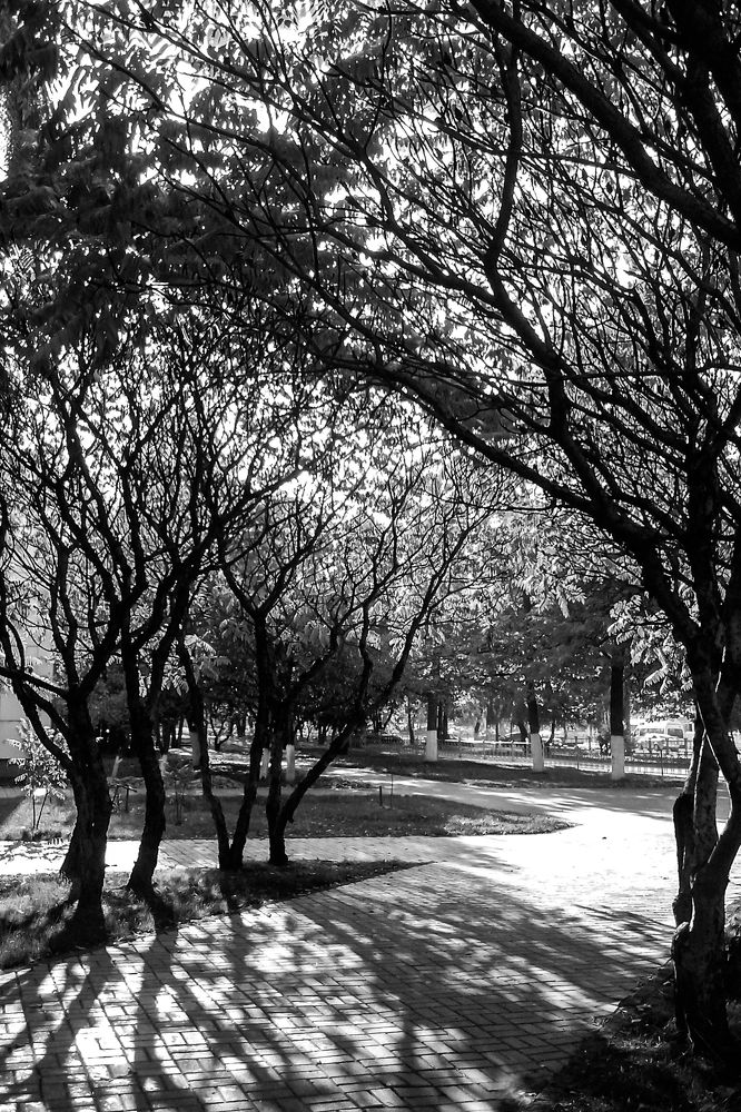 Photograph by Екатерина Бахтинова