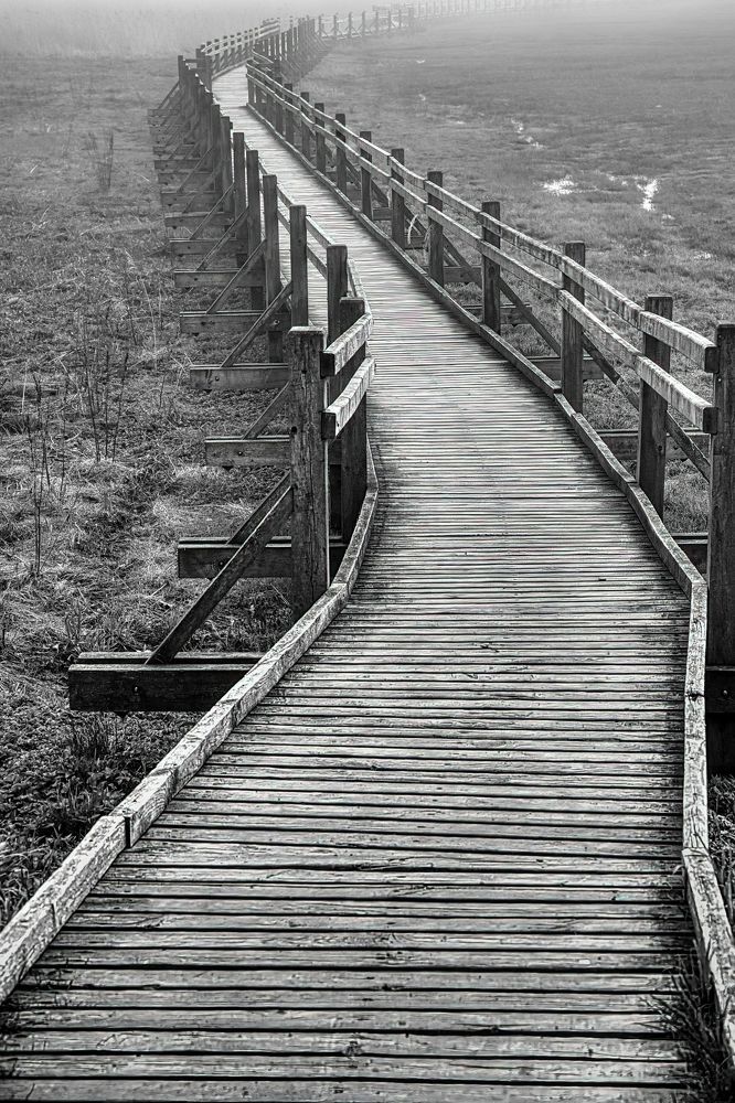 Photograph by Albina Kulikova