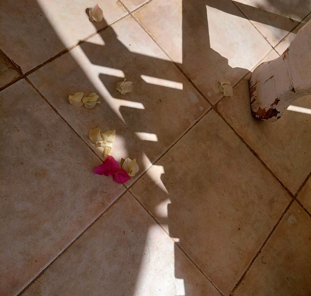 Photograph by Nawal 3ly