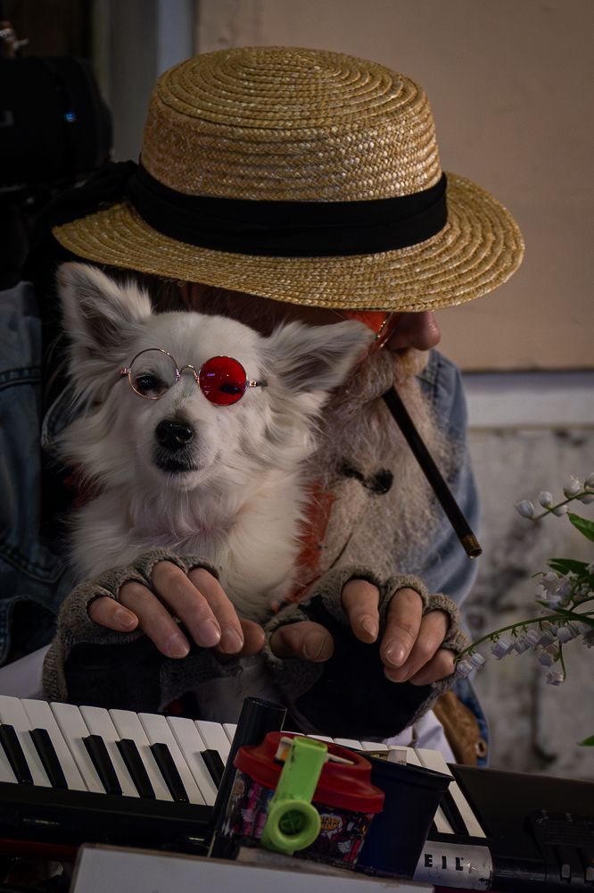 Photograph by Бахтадзе Дмитрий