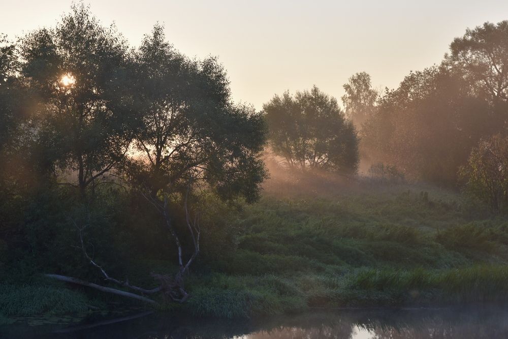 Photograph by Ольга Струкалина