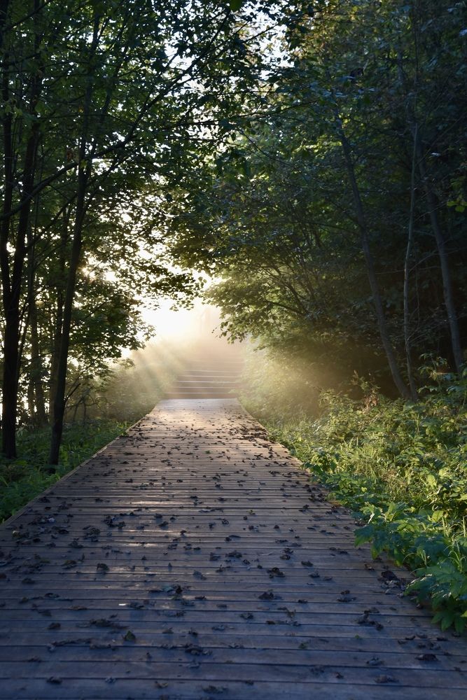 Photograph by Ольга Струкалина