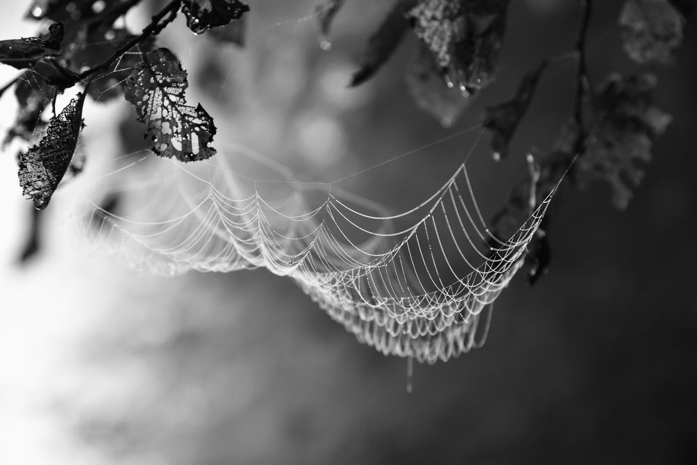 Photograph by Ольга Струкалина