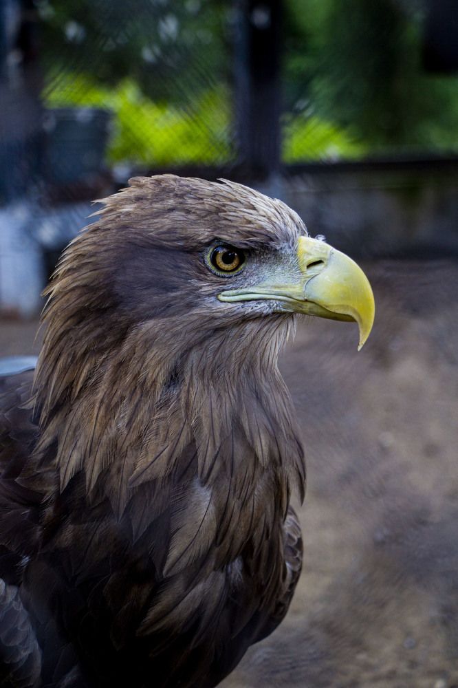 Photograph by Данил Сорокин