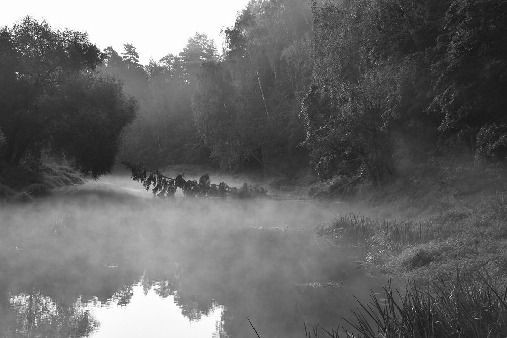 Photograph by Ольга Струкалина