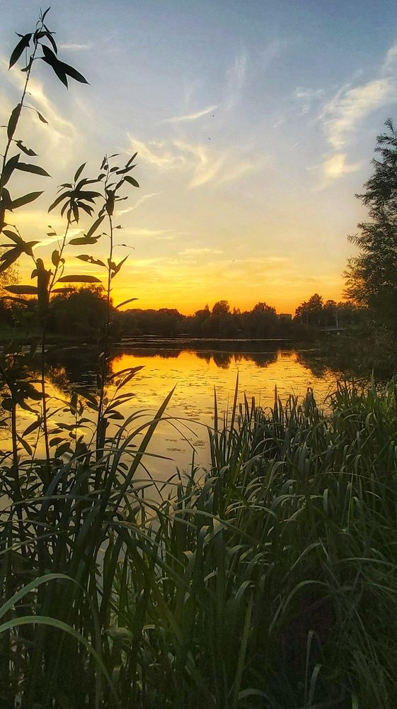 Фотография автора Алёна Михайлова