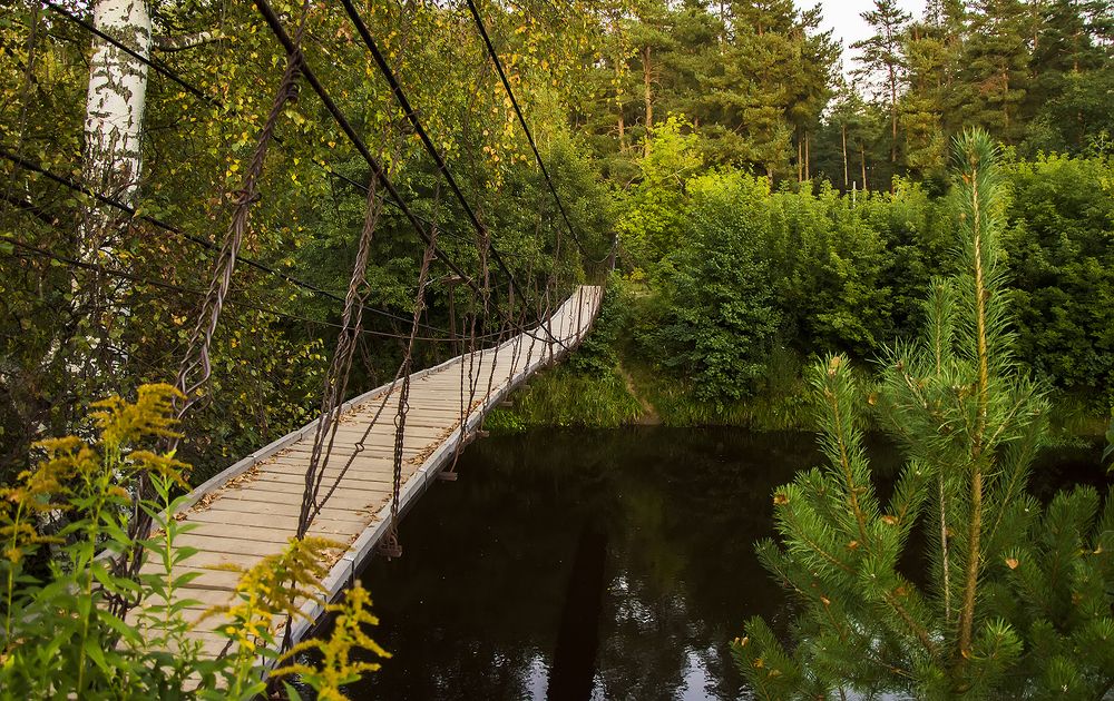 Photograph by Алексей Парамонов