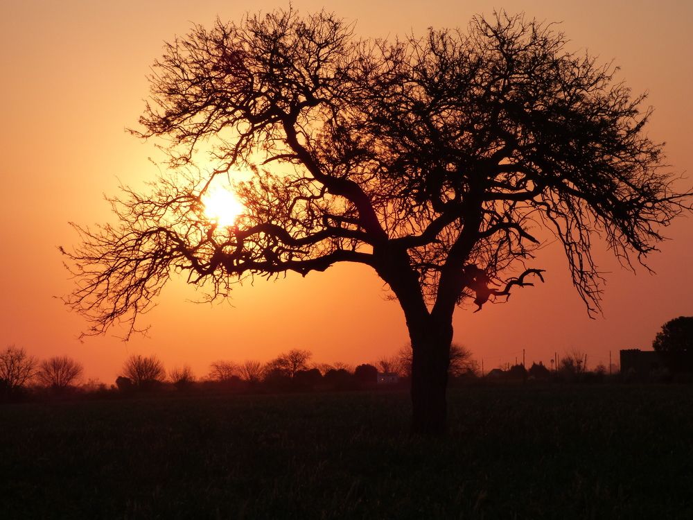 Atardecer en Humboldt