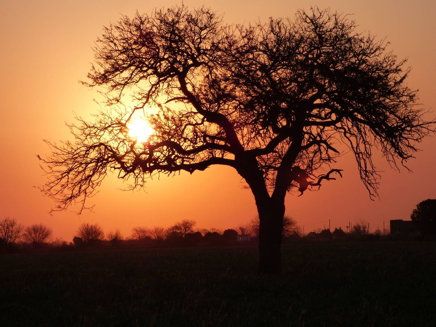 Atardecer en Humboldt