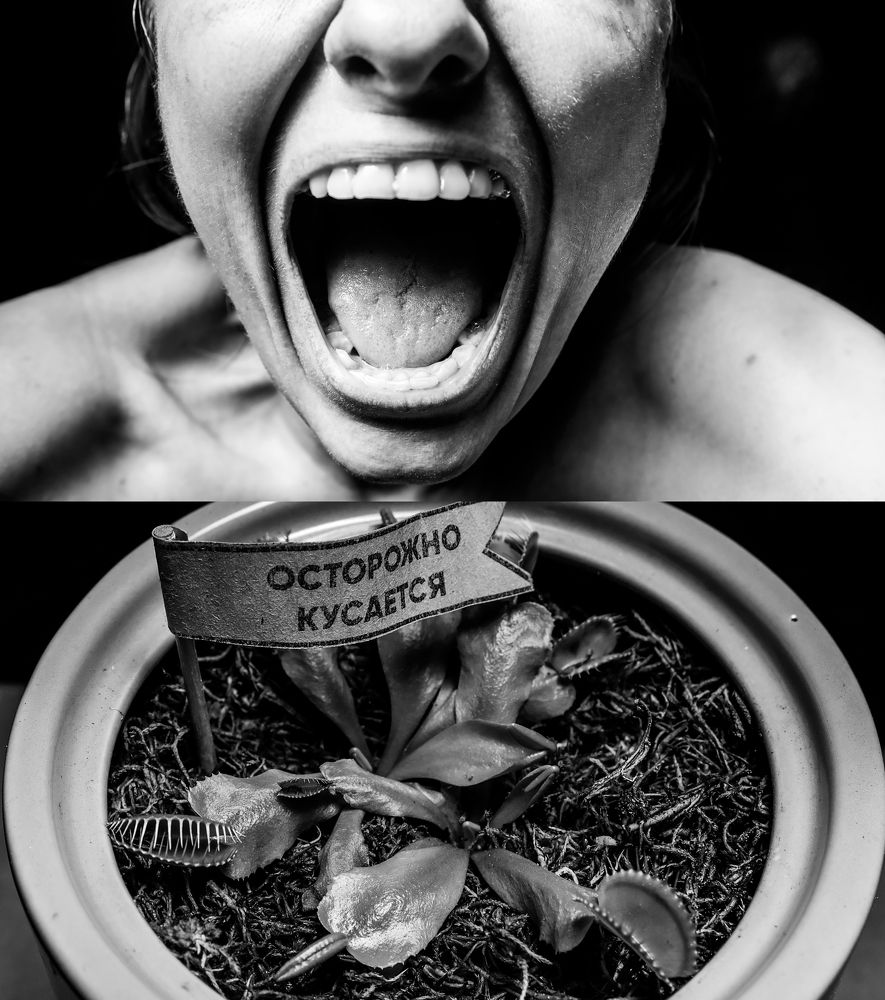 Photograph by Оксана Черновецкая