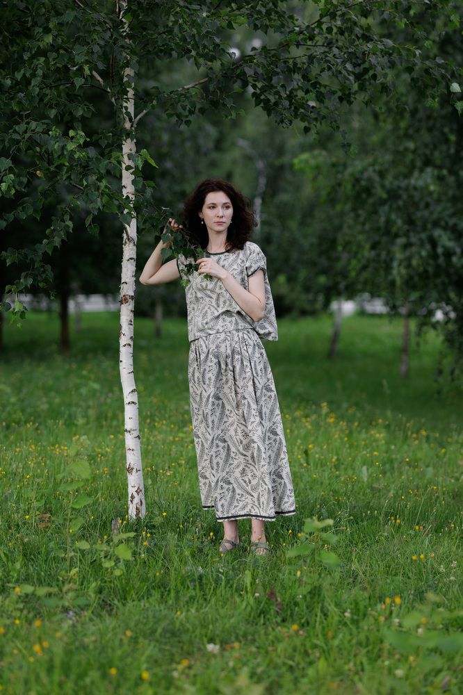 Ромашки, абрикосы, березка