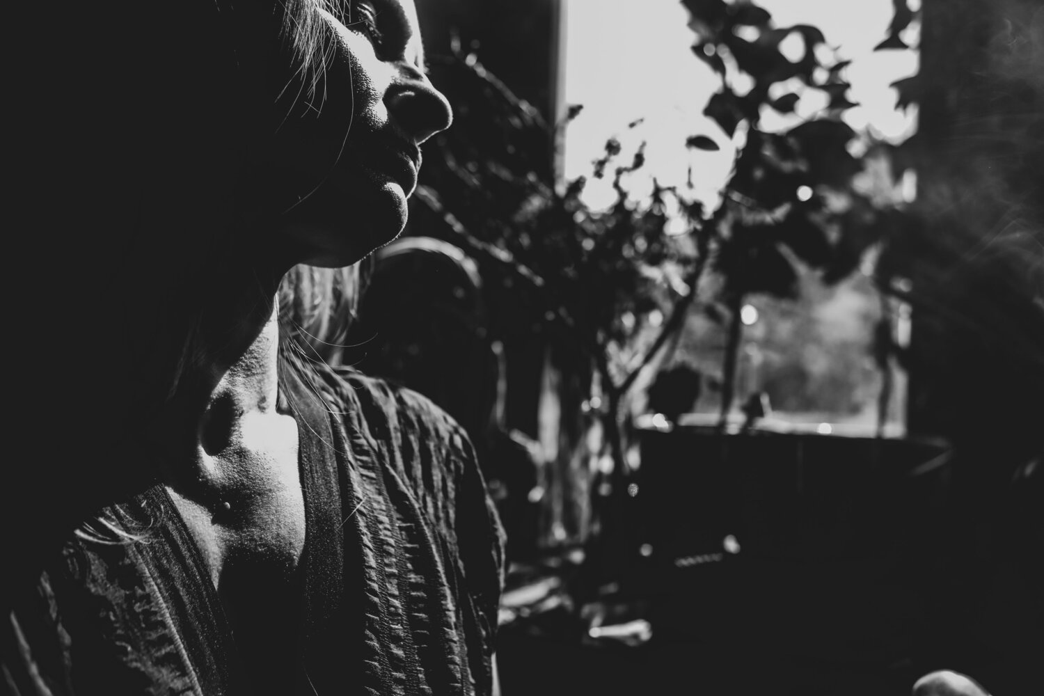 Photo #11001078