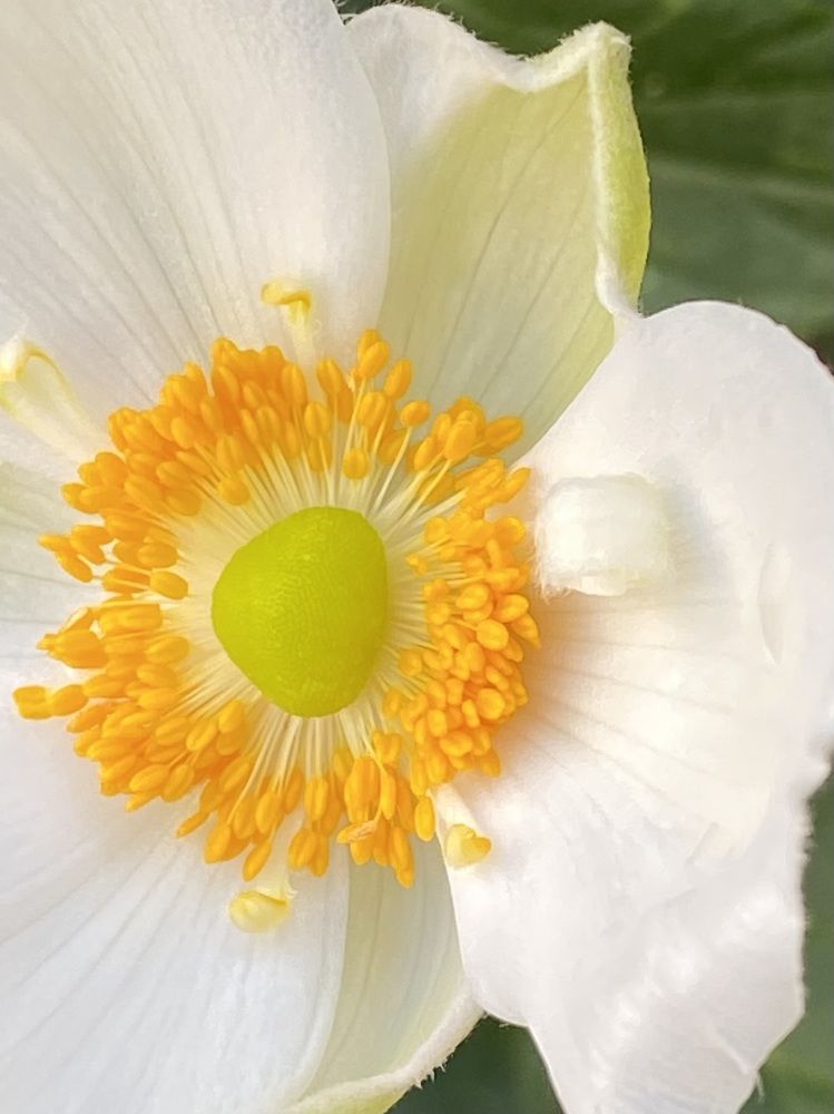 Photograph by Луиза Баширова