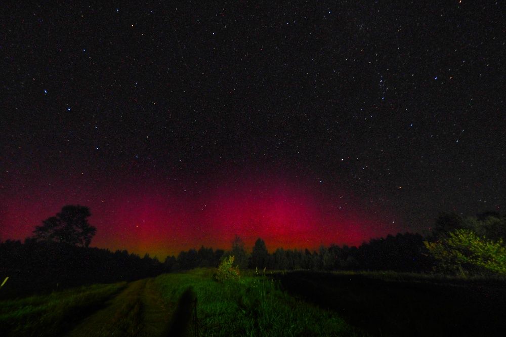 Photograph by Дмитрий Потапов