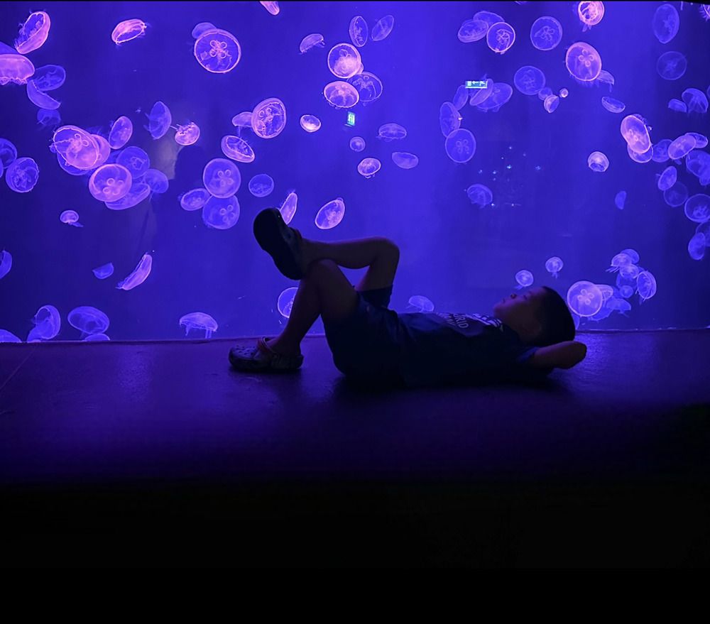 Photograph by Olessya Kim