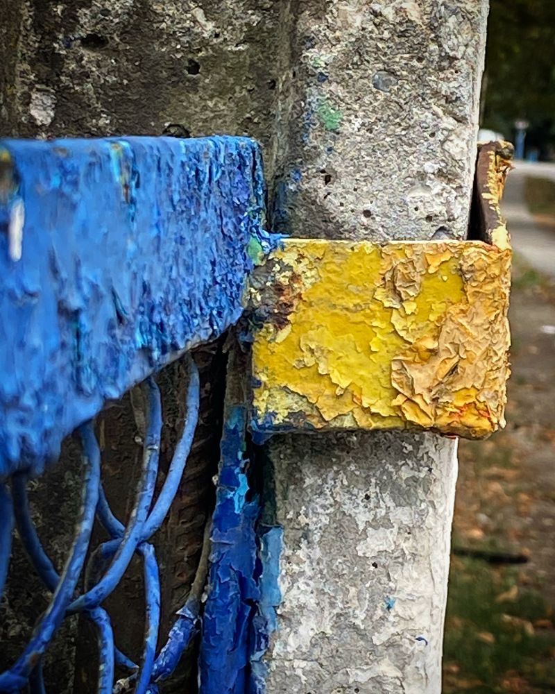 Photograph by Луиза Баширова