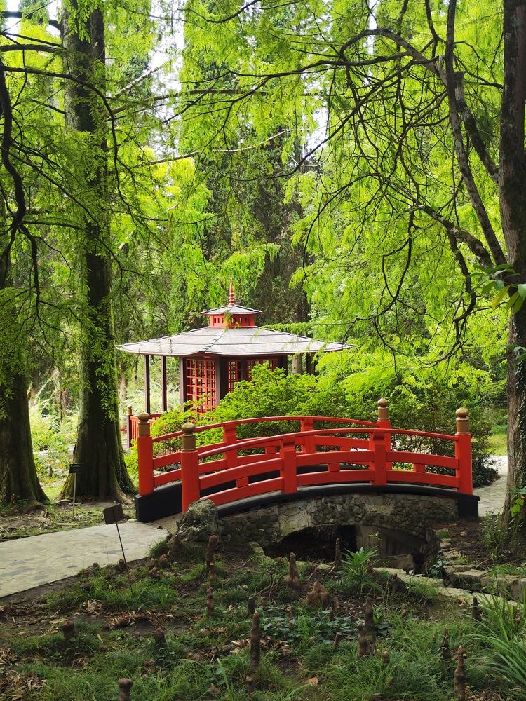 Photograph by Ирина Шибитова