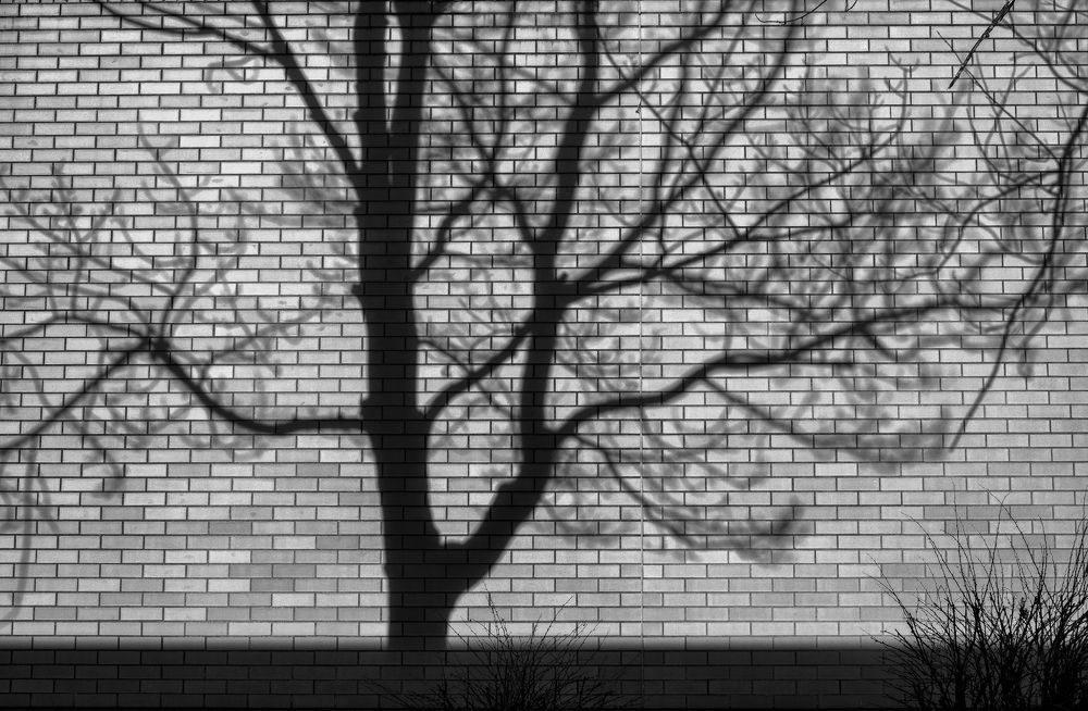 Photograph by RAFAEL SERRANO