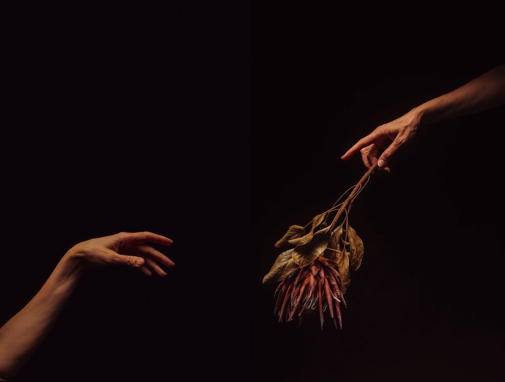 Photograph by Оксана Черновецкая