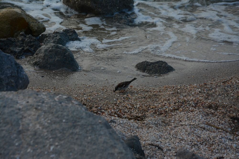 Photograph by Ольга Истомина