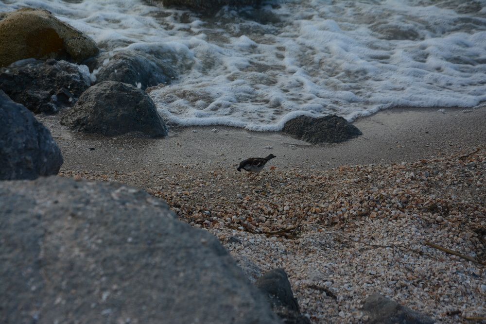 Photograph by Ольга Истомина