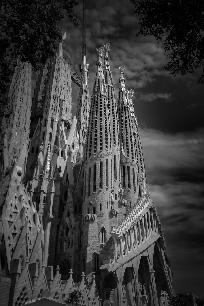 Photograph by Dionisio Navarro Martinez