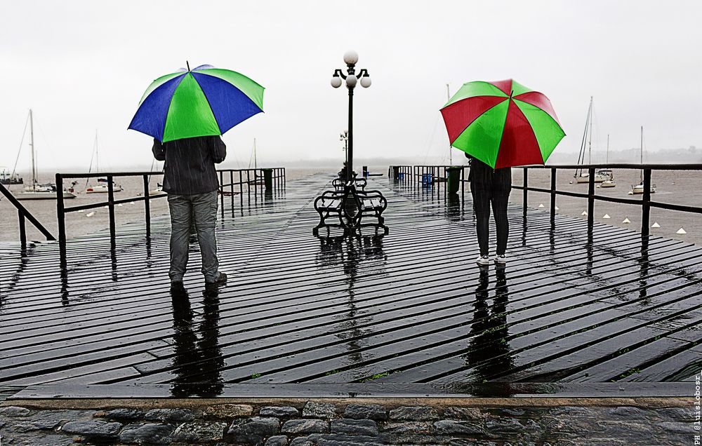Paraguas en el muelle