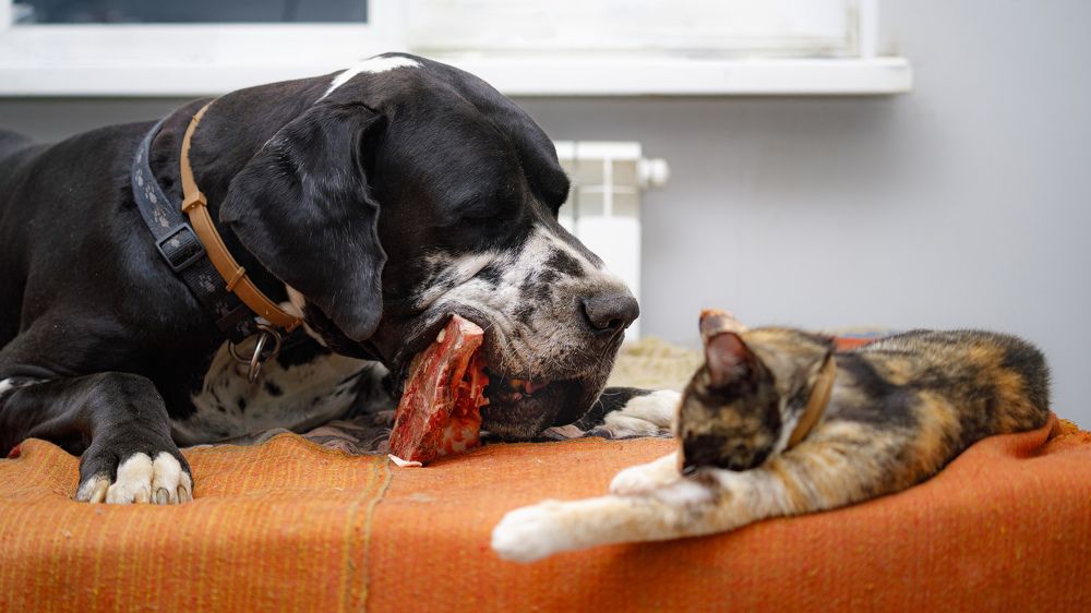 «О терпении»