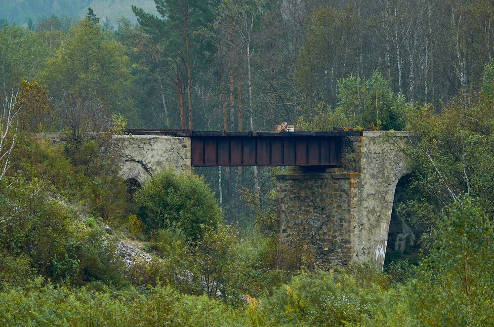 Фотография автора Сергей Королёв