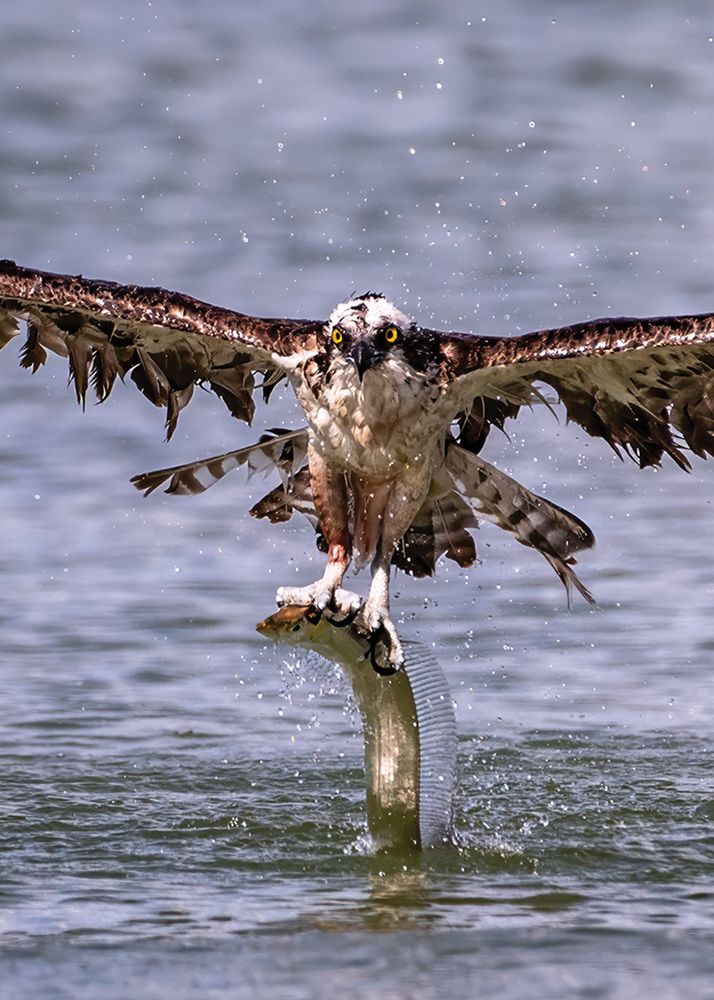 Photograph by Rose-Anne Reyes