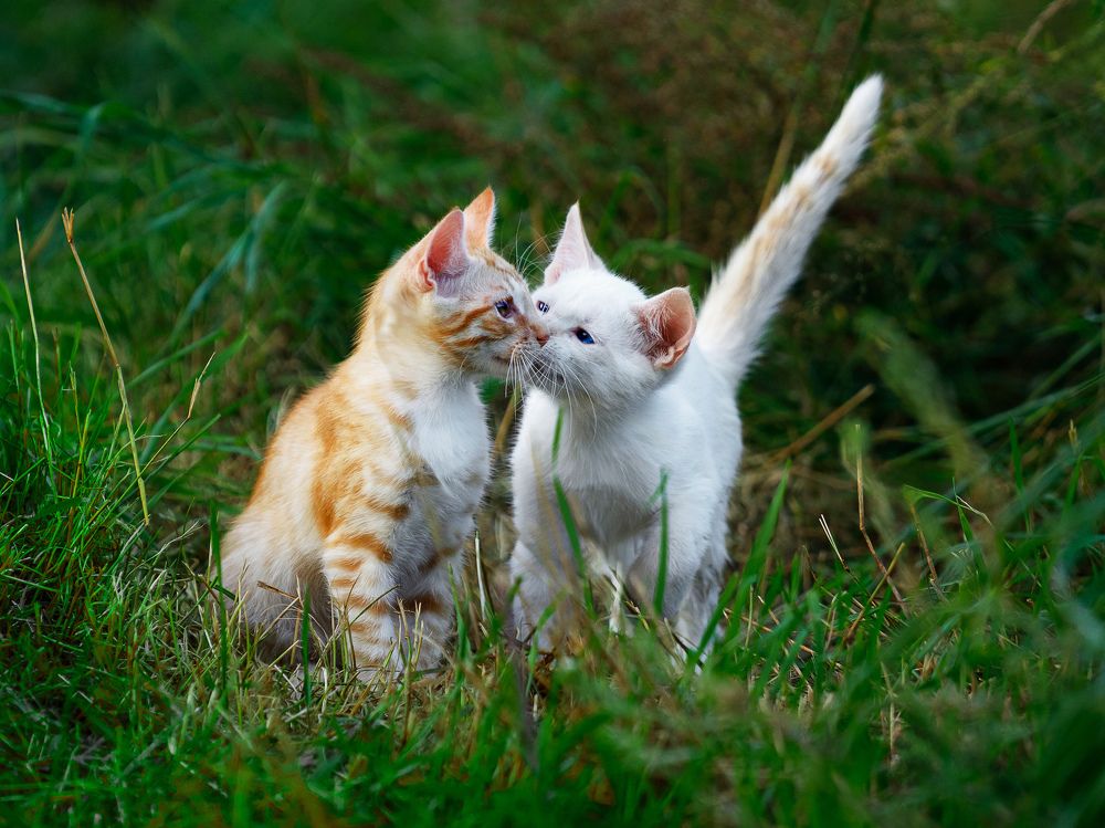 Photograph by Людмила Бандурина