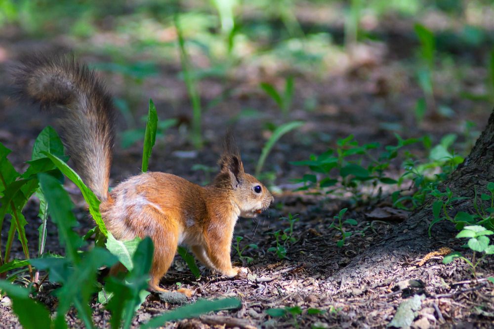 Photograph by Роман Шаров